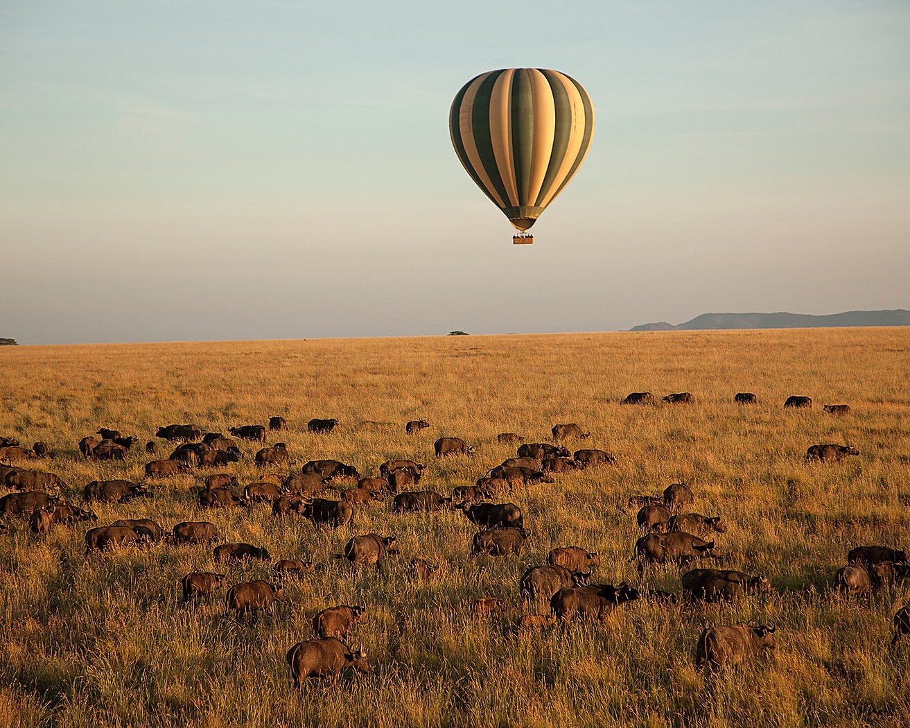 Hot air balloon over the Serengeti plains at sunrise