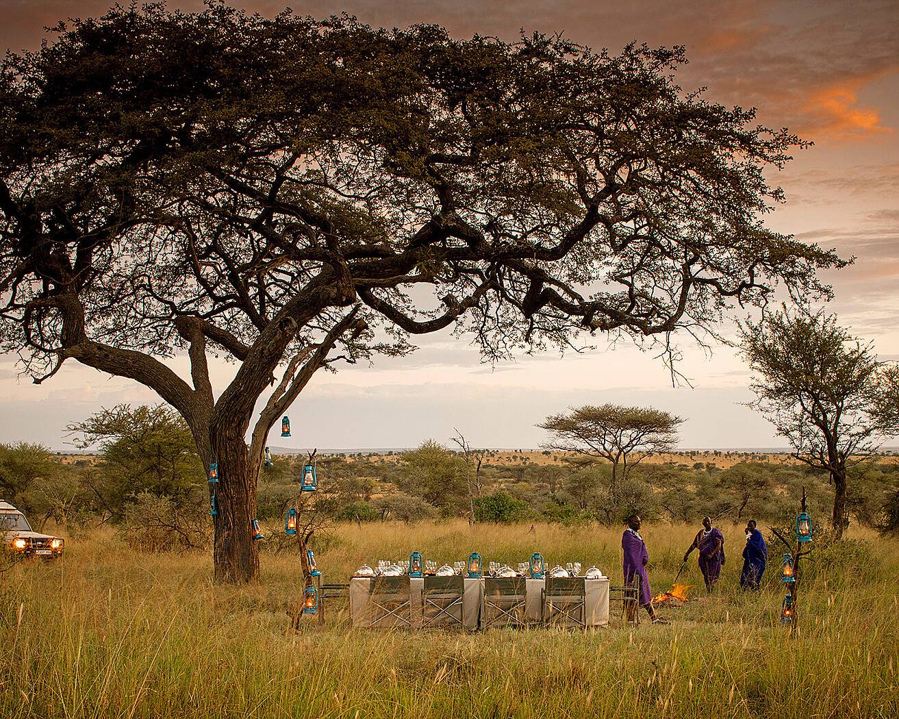 Candlelit bush dinner beneath an acacia tree at Four Seasons Safari Lodge Serengeti
